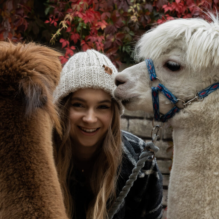 Dlaczego wełna alpacza?